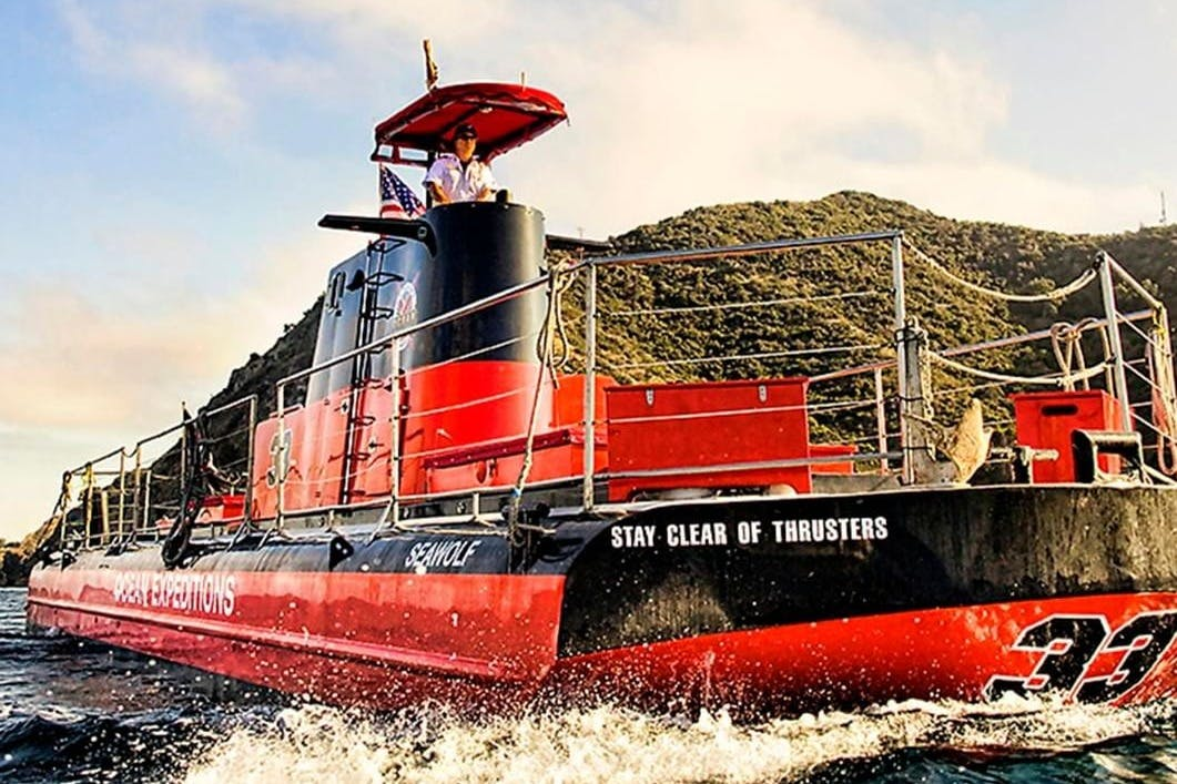 Catalina Island: Day Trip with Undersea Sub Expedition - Photo 1 of 6